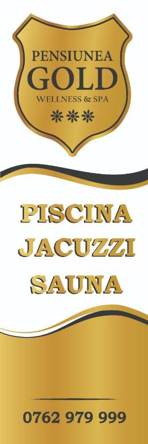 Pensiunea Gold Wellness&Spa Chiscau 外观 照片