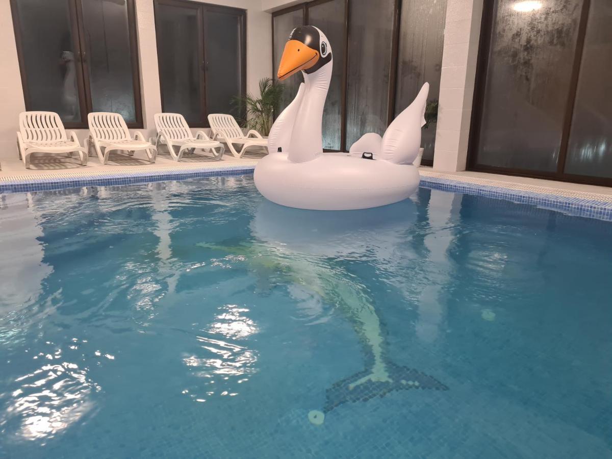 Pensiunea Gold Wellness&Spa Chiscau 外观 照片