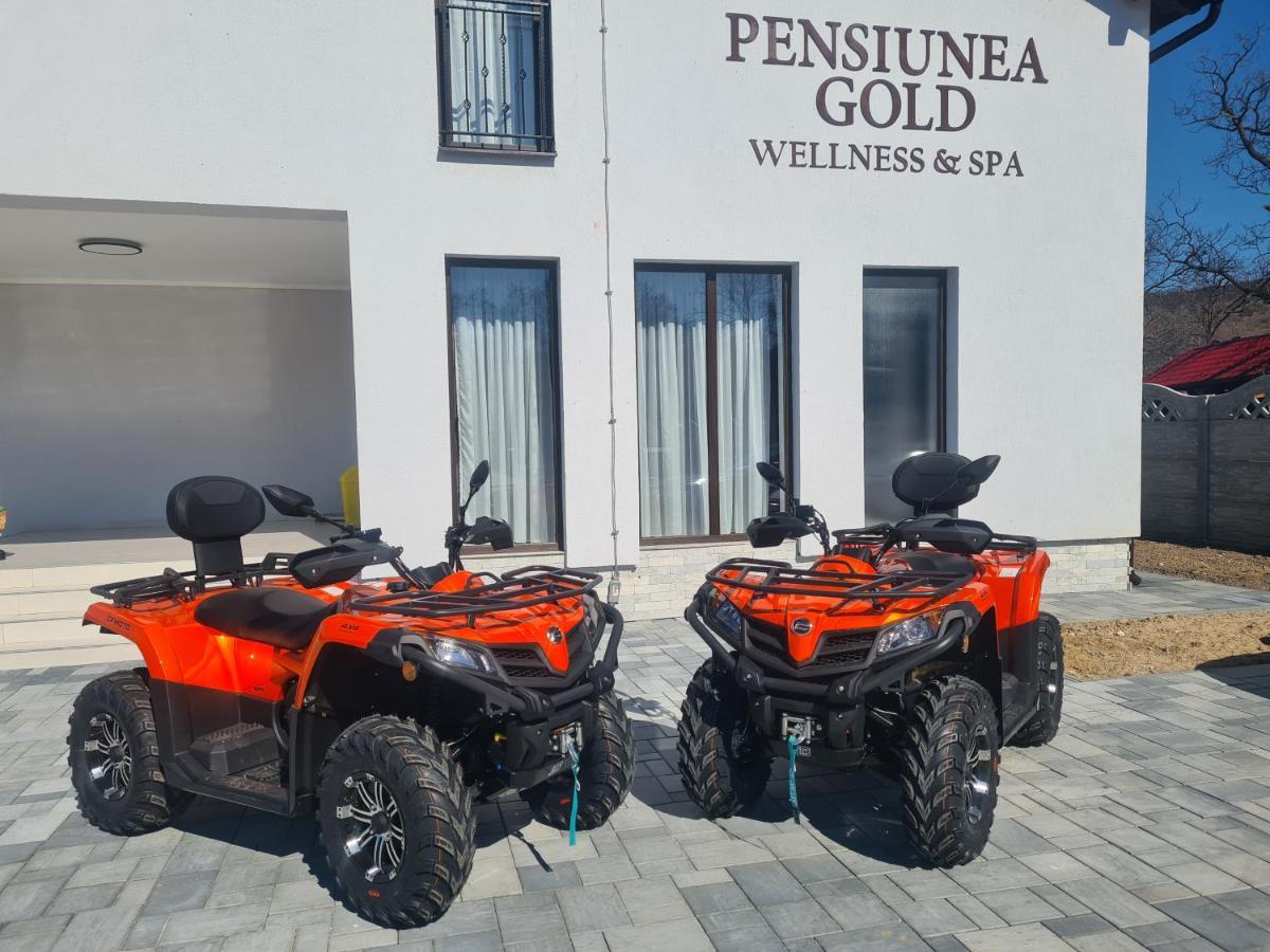 Pensiunea Gold Wellness&Spa Chiscau 外观 照片